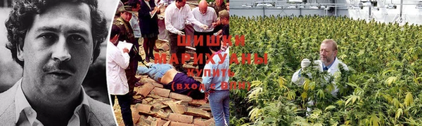 mdpv Надым