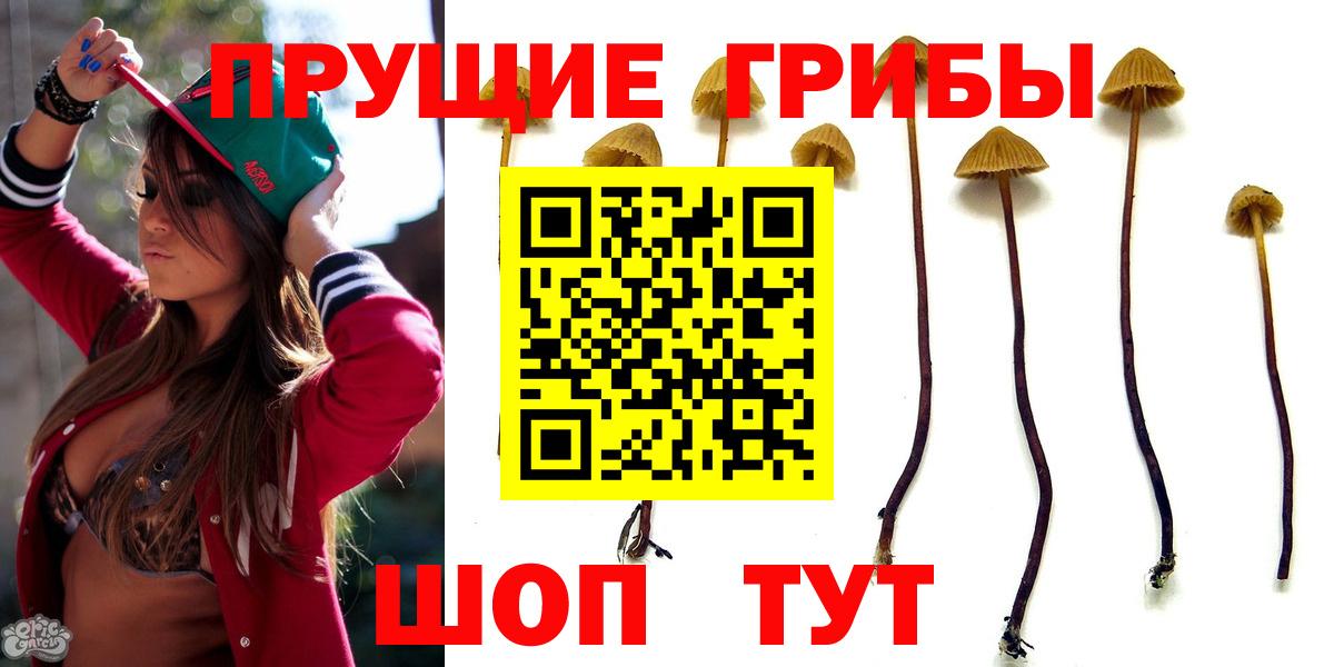 Псилоцибиновые грибы мухоморы  Вход с VPN  Дедовск 